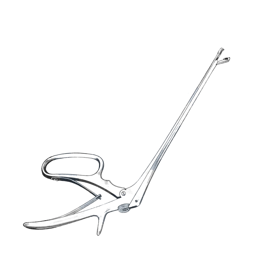 Baby Tischler Biopsy Forceps 10" 4.2x2.3mm Bite