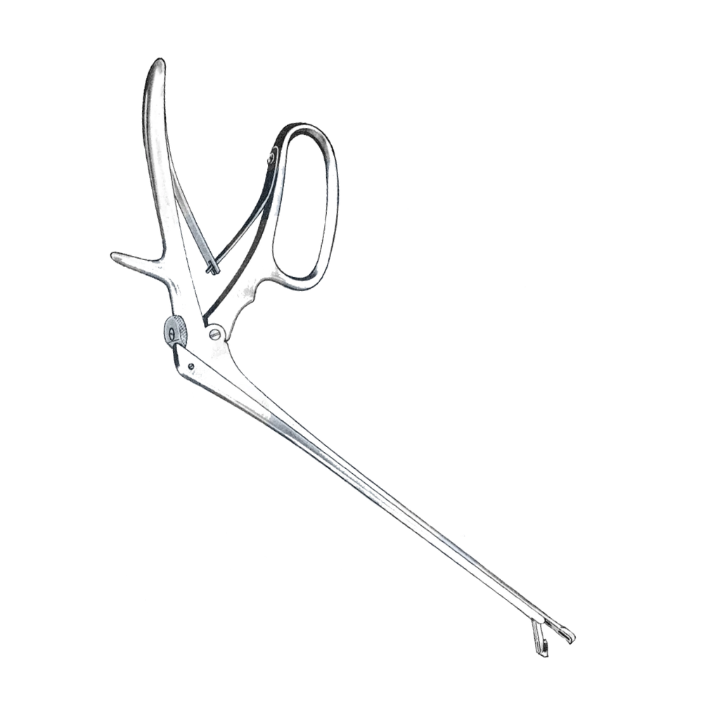 Baby Tischler Biopsy Forceps 10" 4.2x2.3mm Bite