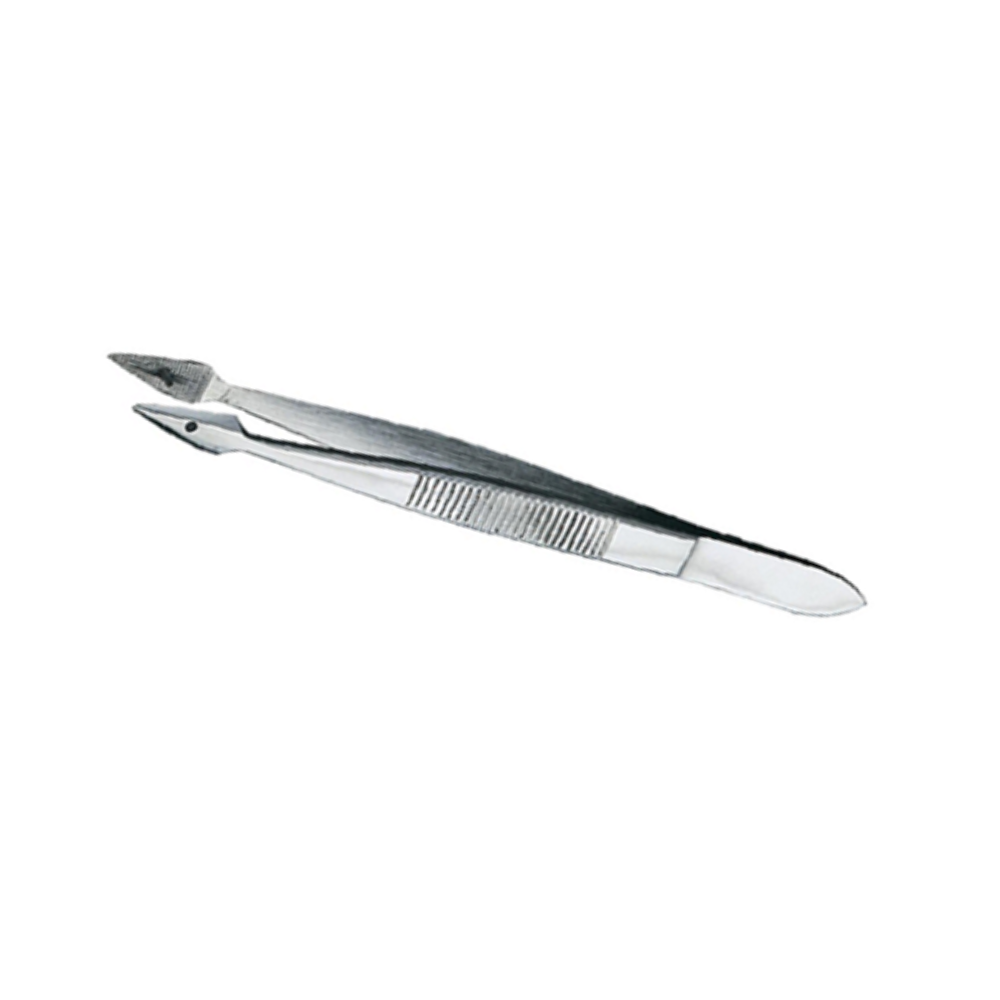 Splinter Forceps - No Pin | General Surgery - Surgical Instruments ...